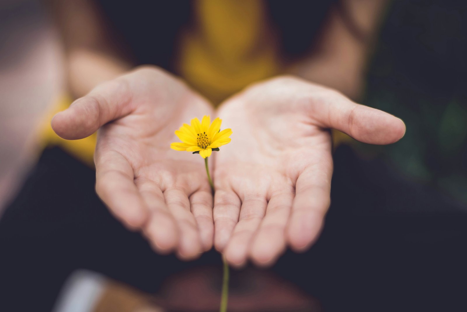 Mindfulness this